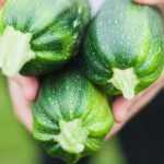 To grow courgettes in pots