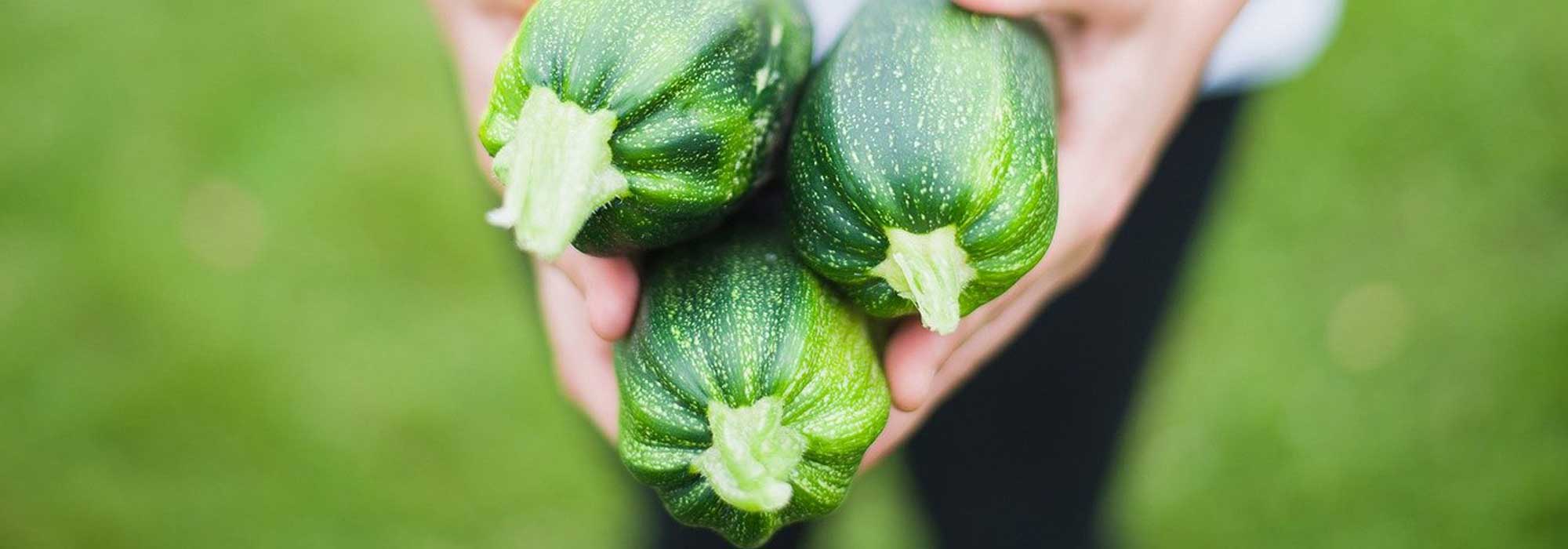 To grow courgettes in pots
