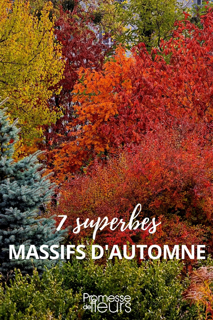 Autumn Flowerbeds