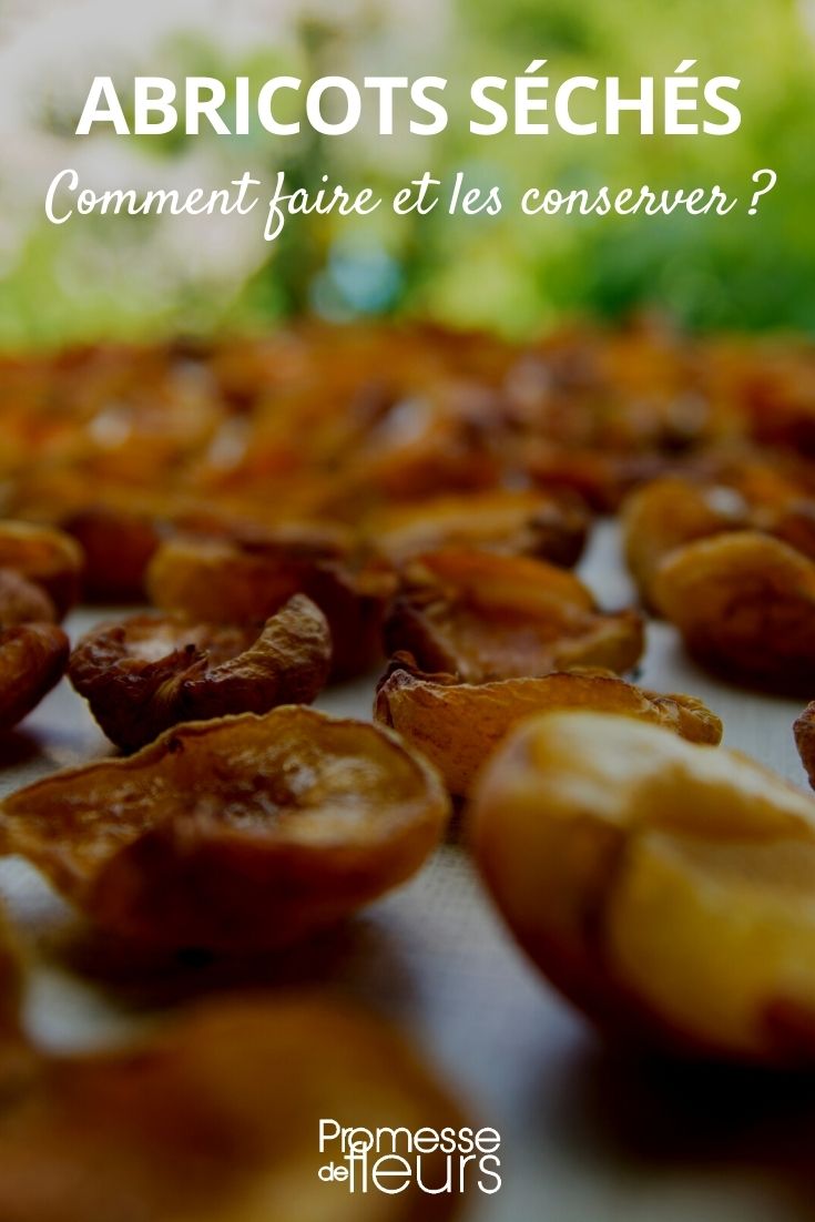 dried apricots