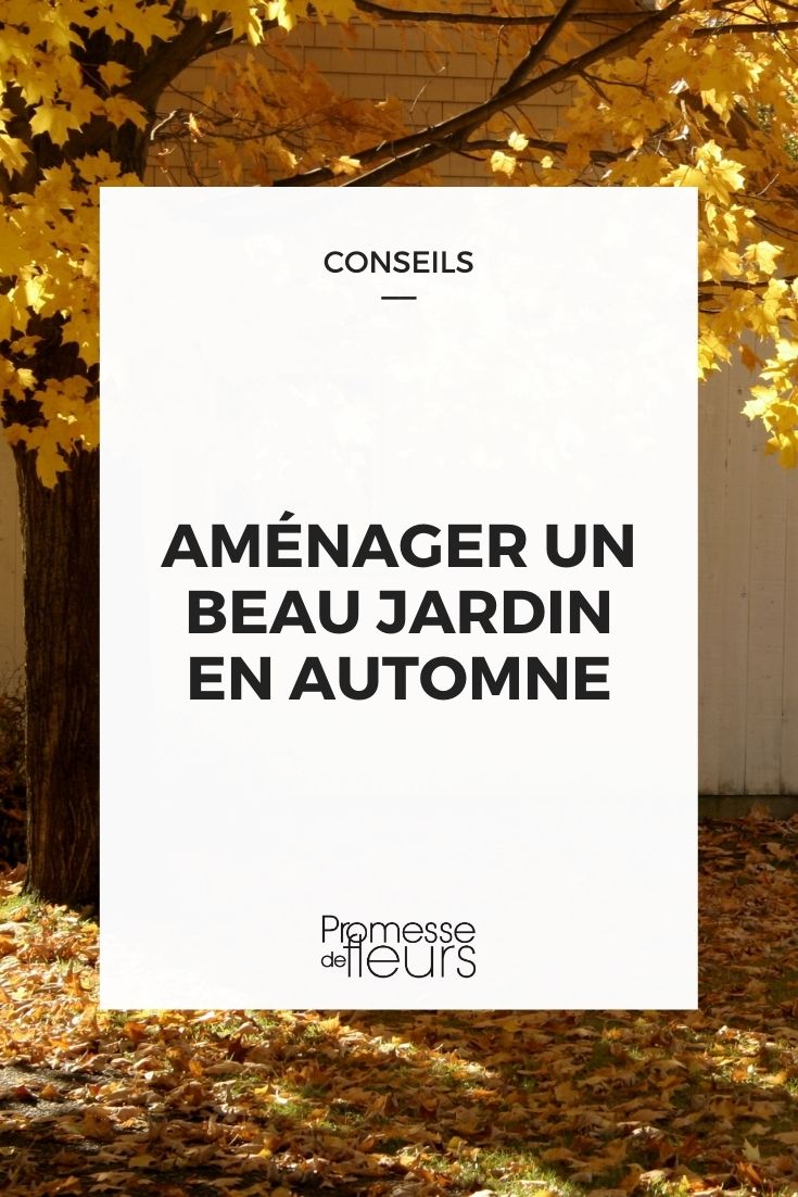 Creating a Beautiful Garden in Autumn