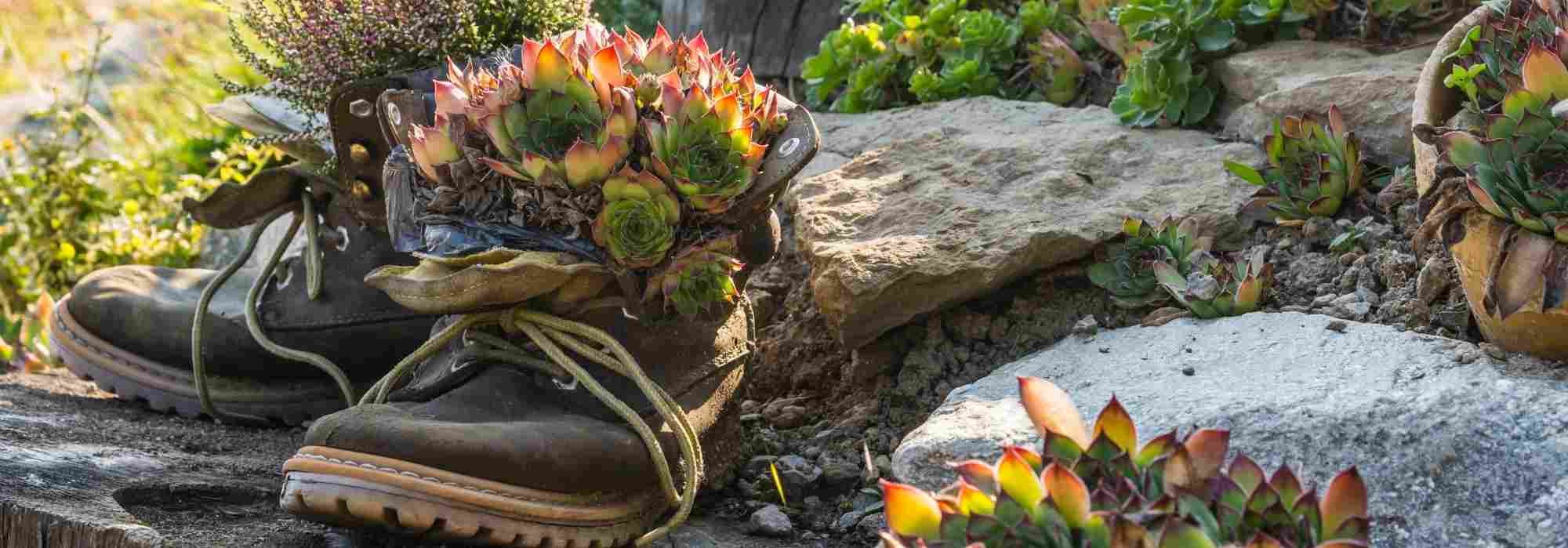 Decor idea: plants in unusual containers