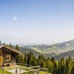 How to make a vegetable garden in the mountains?