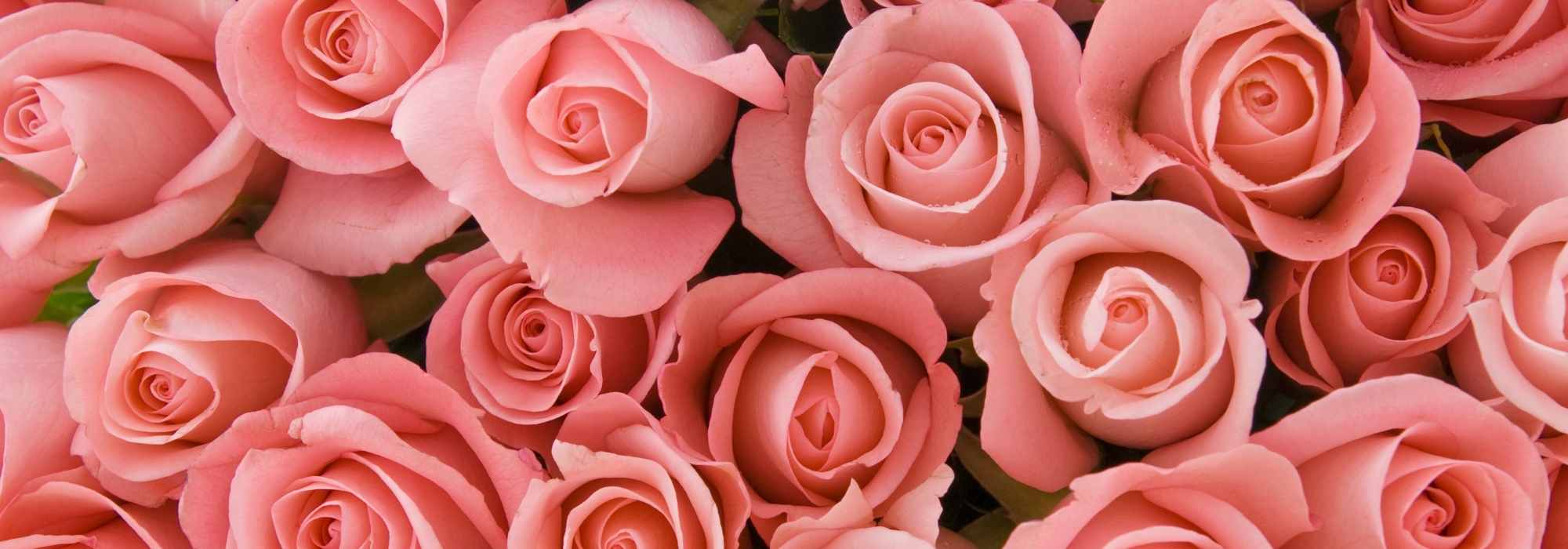 Scent of roses