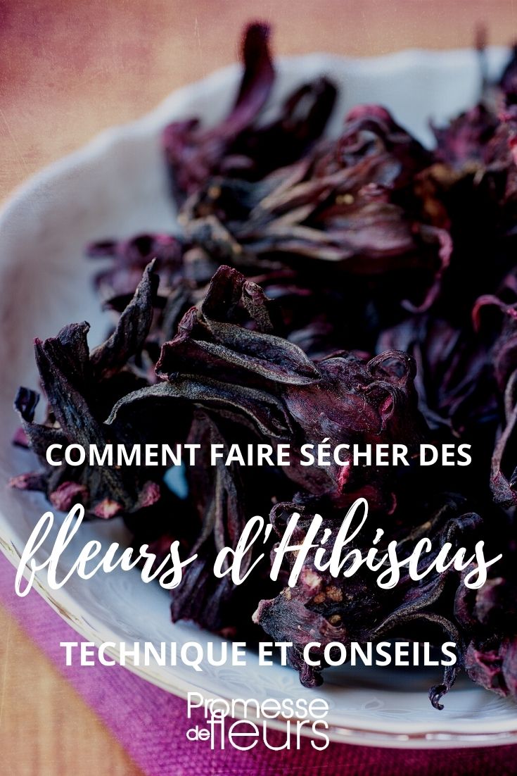 How to Dry Hibiscus Flowers - A Tutorial