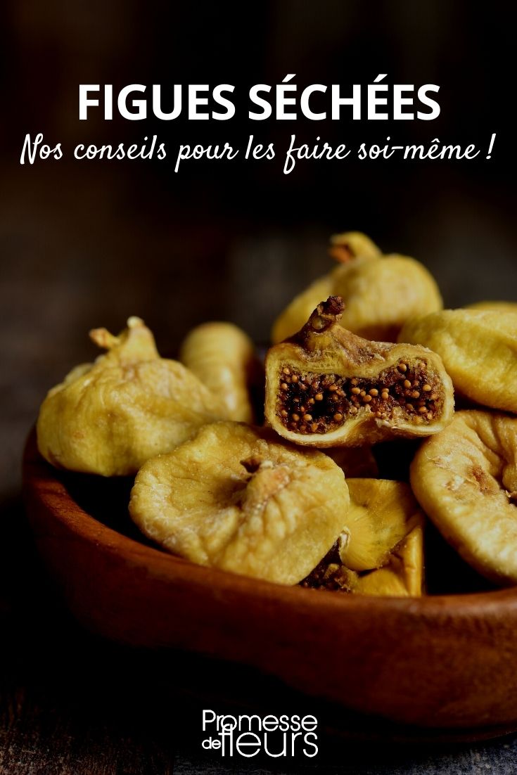 dried fig Making Dried Figs