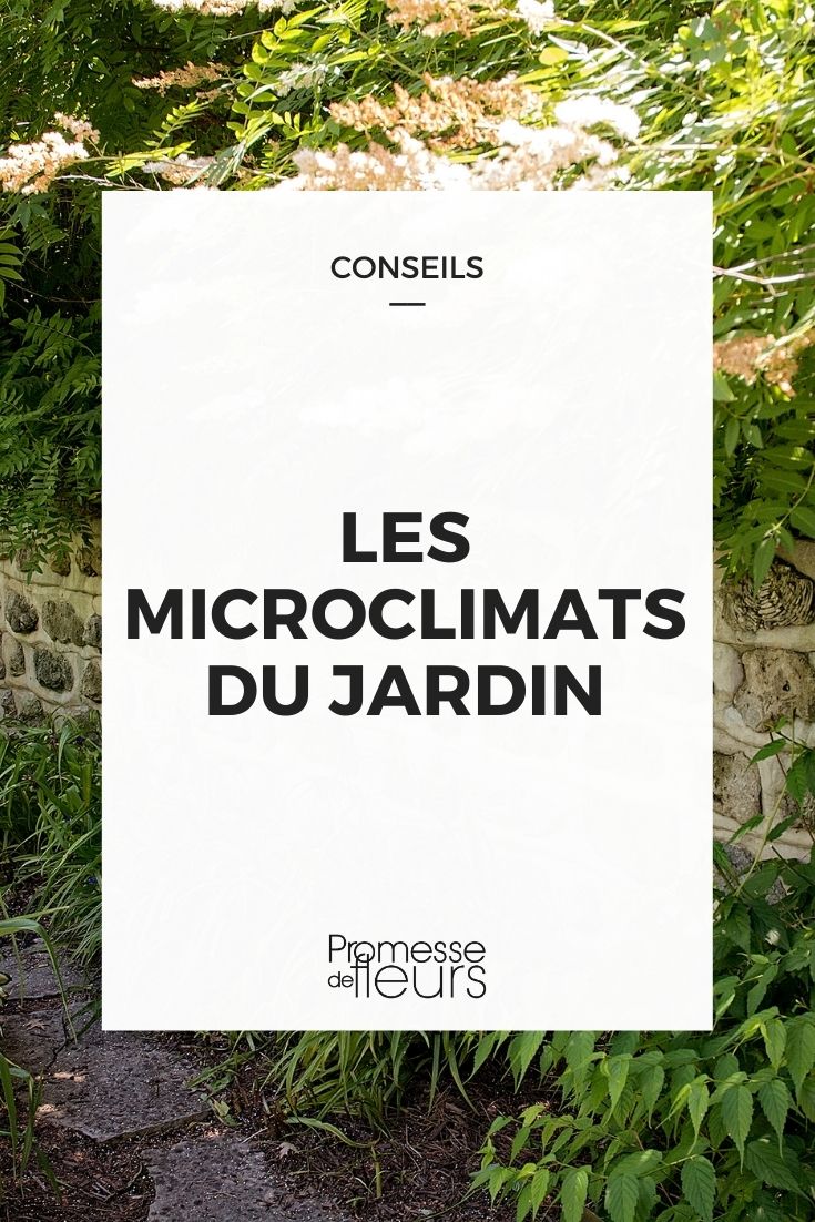Garden Microclimates Garden Microclimates