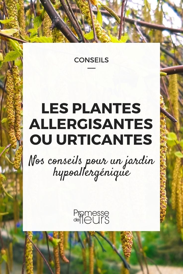 urticating or allergenic plants