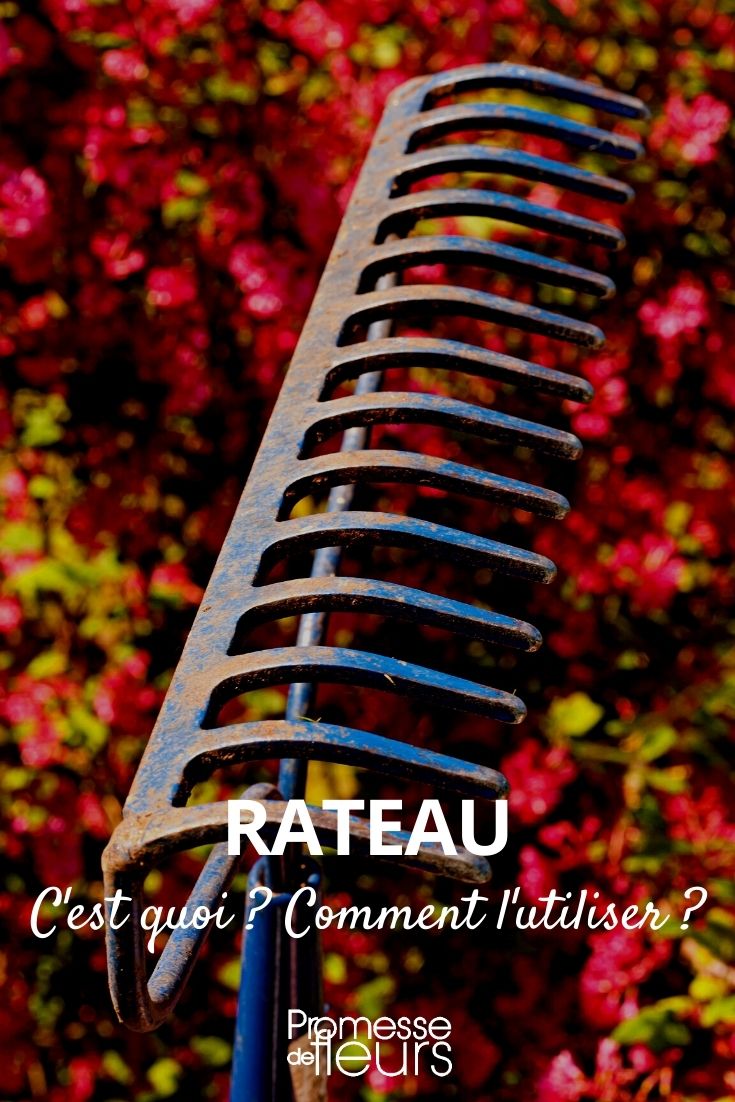 rake rake