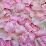 Cooking with roses