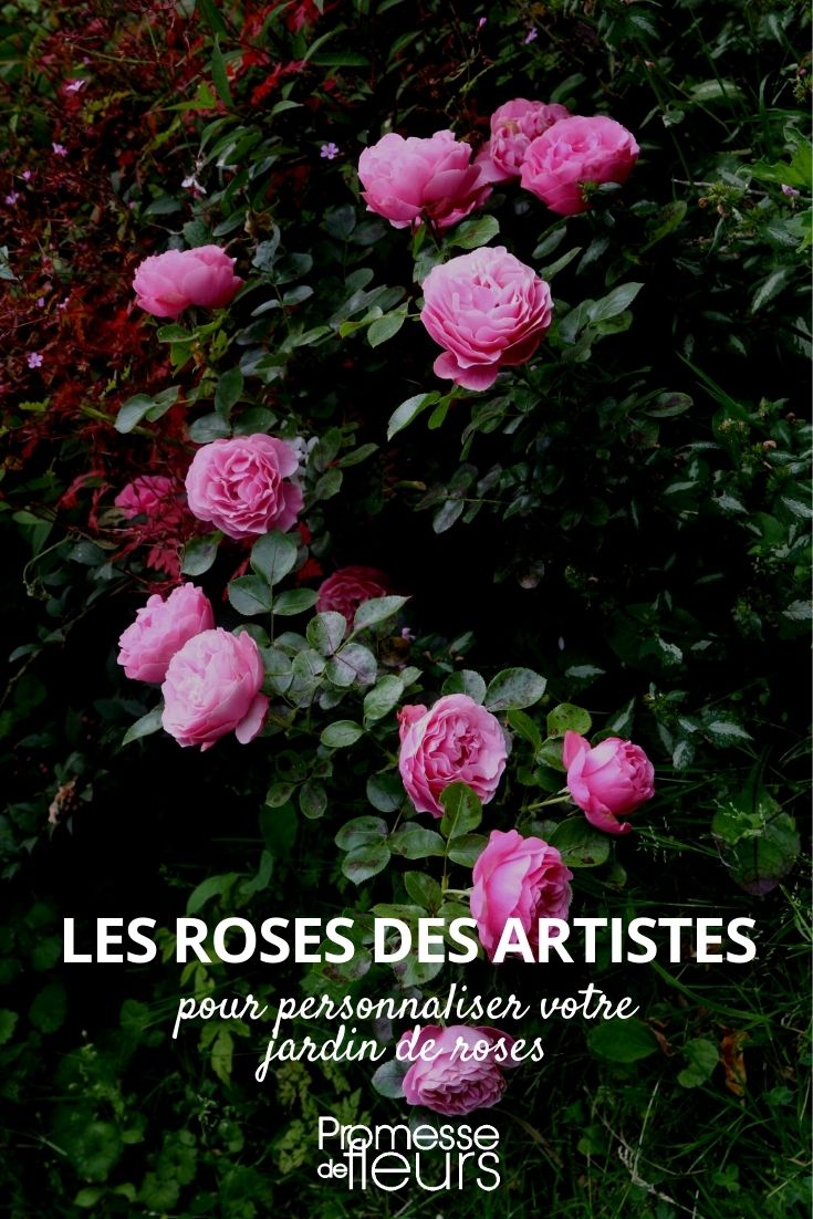 artist's roses Roses Named After Painters