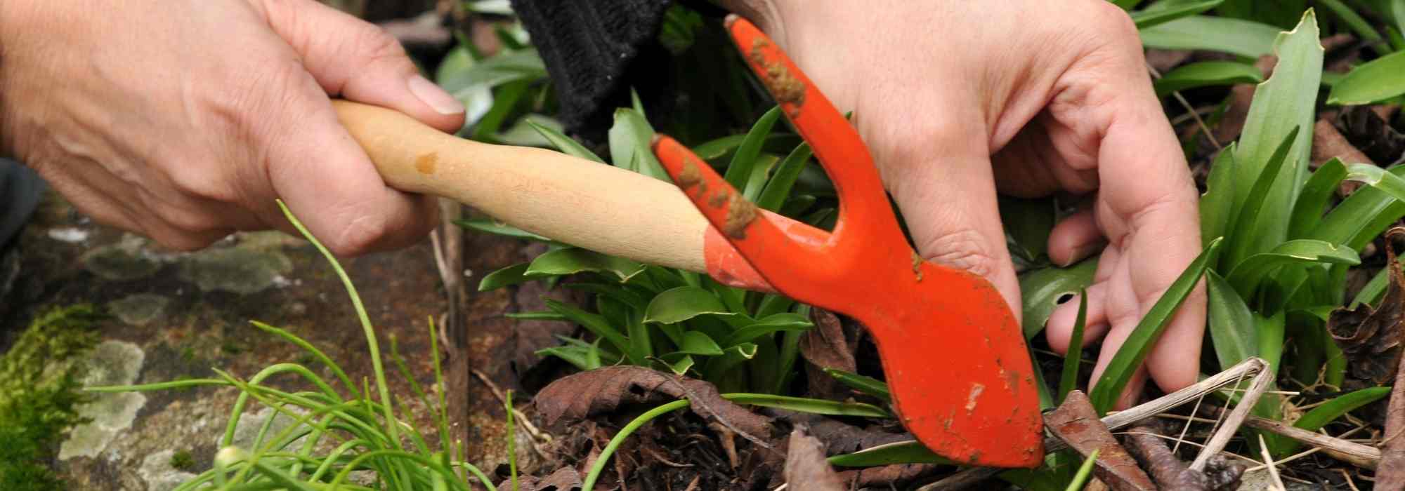 What is a hand hoe used for?