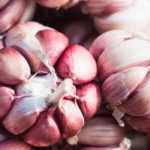 Choosing garlic: buying guide