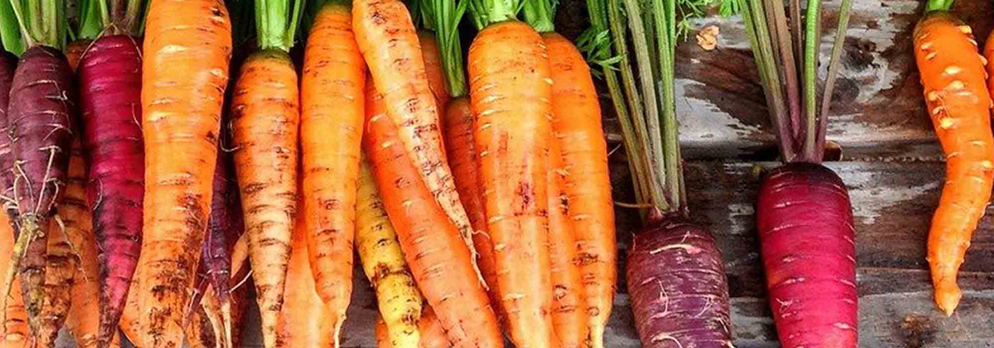 How to choose carrots: buying guide
