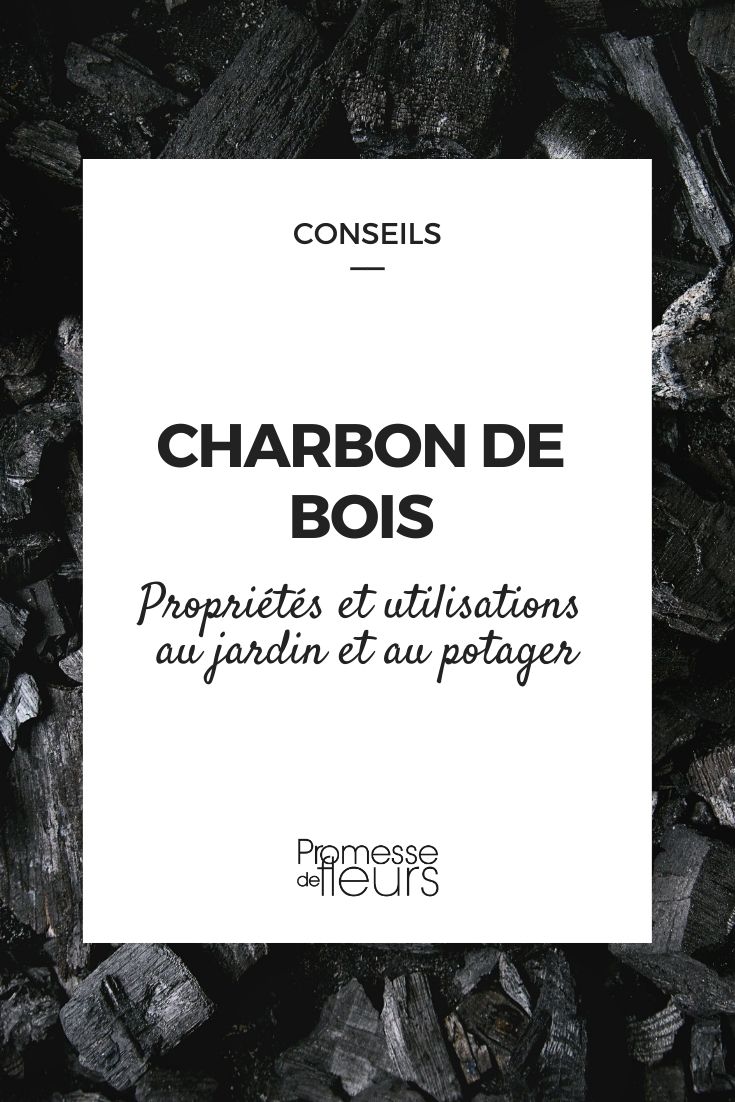 wood charcoal