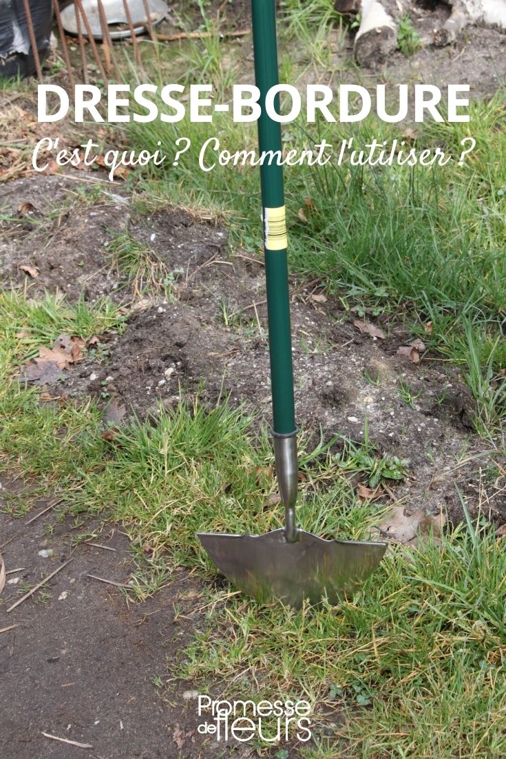 lawn edging lawn edging