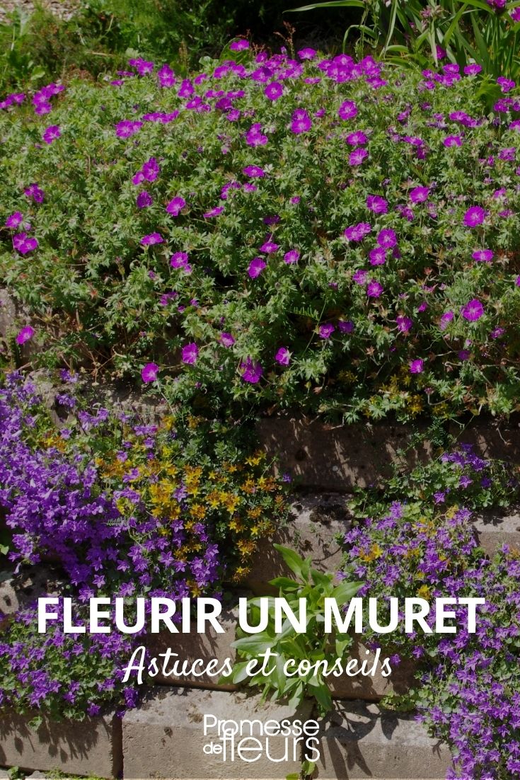 Creating a Flowered Wall