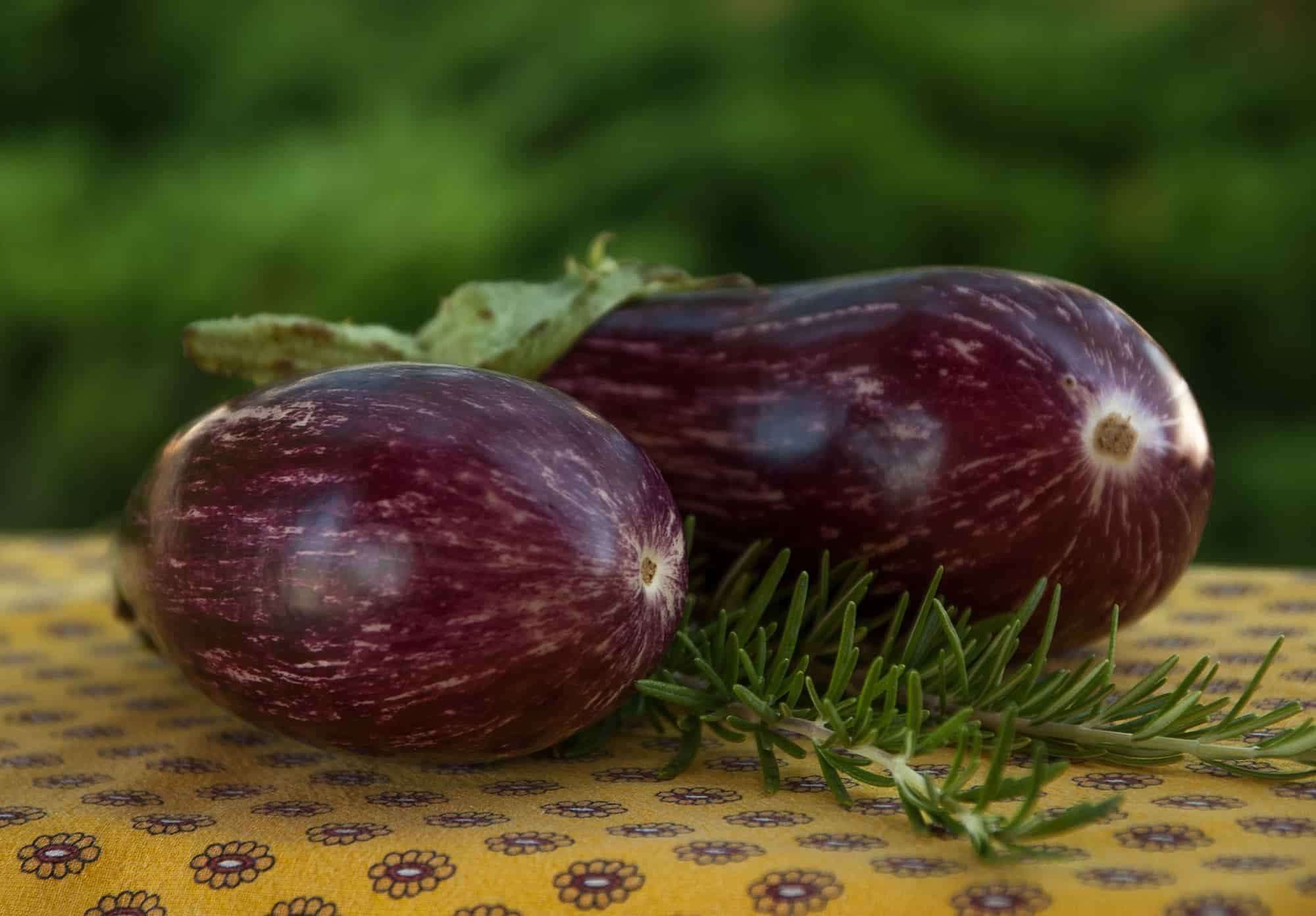 Creating a vegetable garden in the Mediterranean region