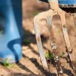 How to spade soil that is too hard?