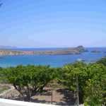 Creating a vegetable garden by the sea