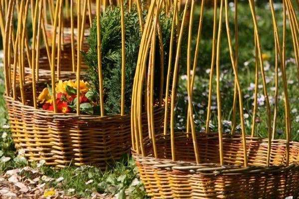How to make a wicker plant support?