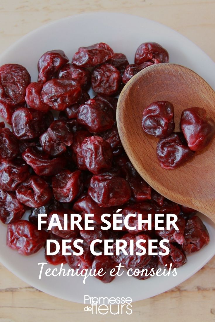 dried cherries