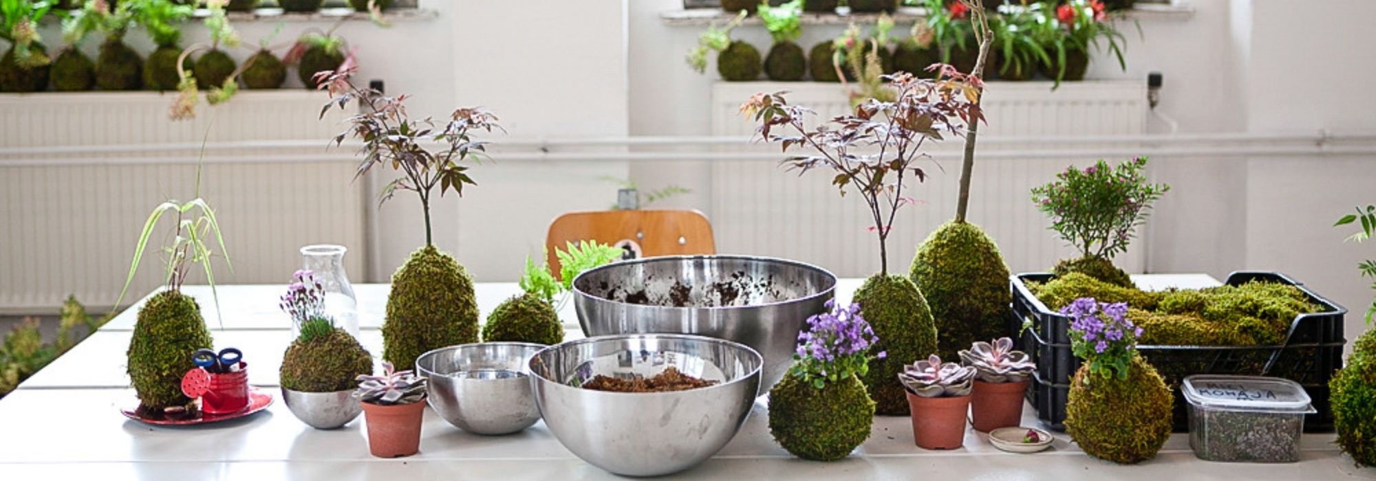 How to make a kokedama?