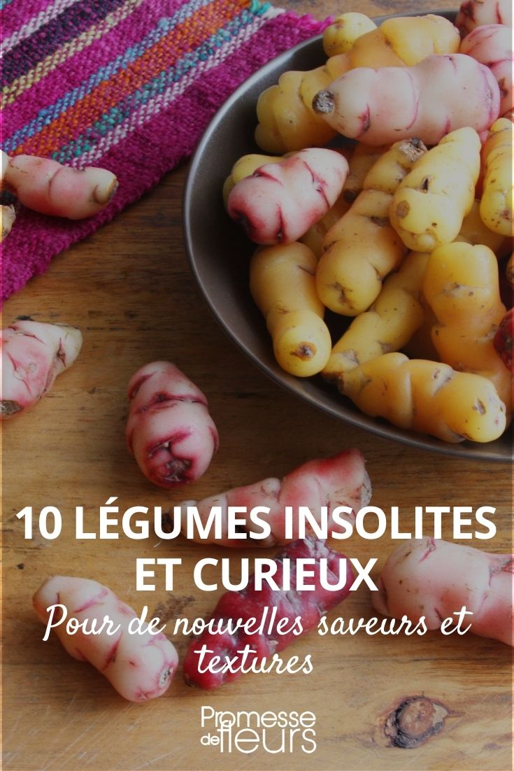 Unusual Vegetables