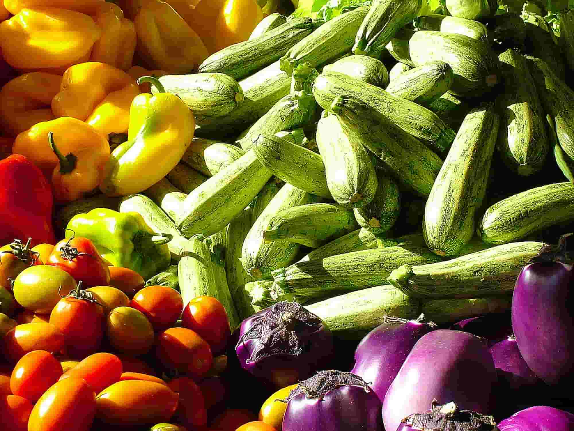 Vegetable garden in the South: which vegetables to grow?