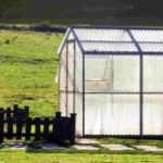 How to choose a garden greenhouse?