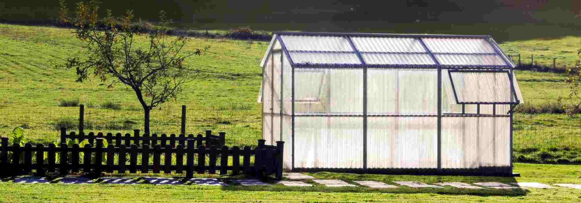 How to choose a garden greenhouse?