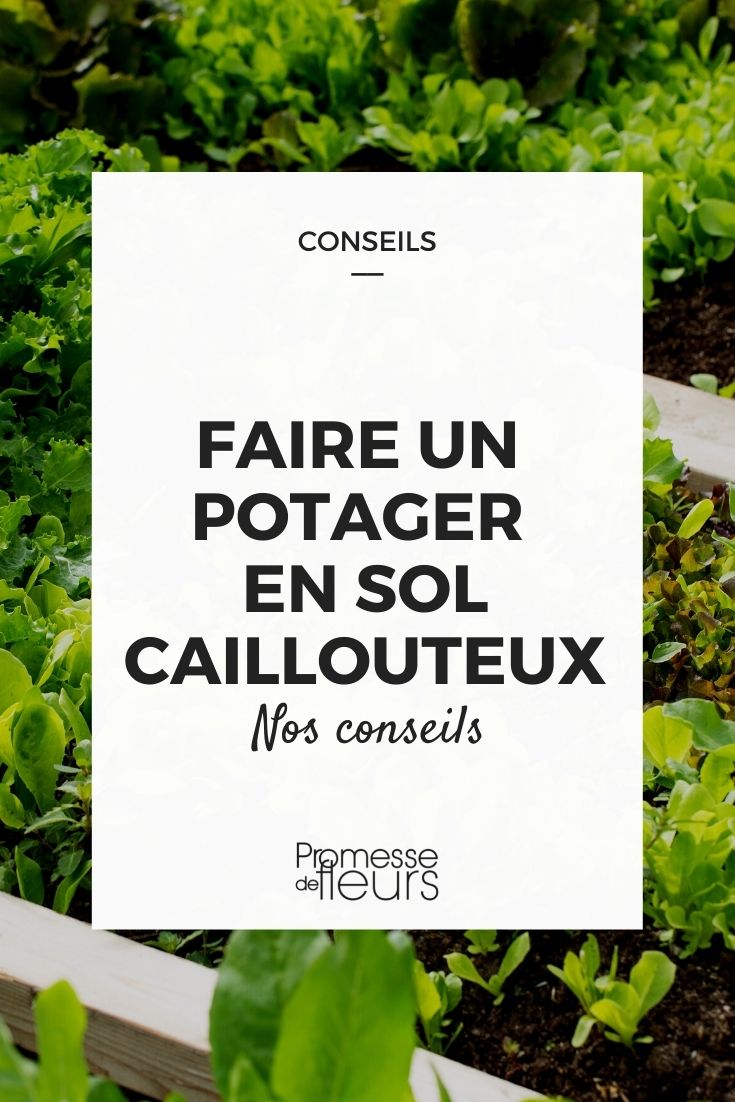 Vegetable Garden in Stony Soil