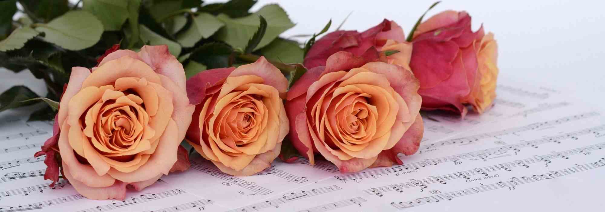 Roses and Music