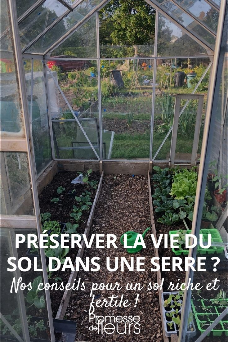Preserving Soil Life in a Greenhouse