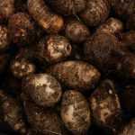 10 unusual and curious vegetables
