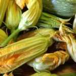 Make courgette flower fritters
