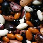 The cultivation of dry beans