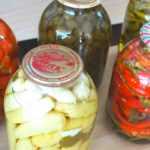 Lacto-fermentation