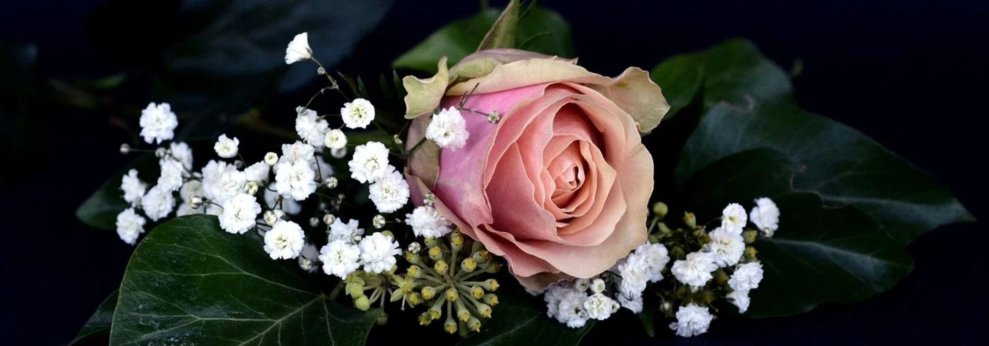 Perfumer's plants