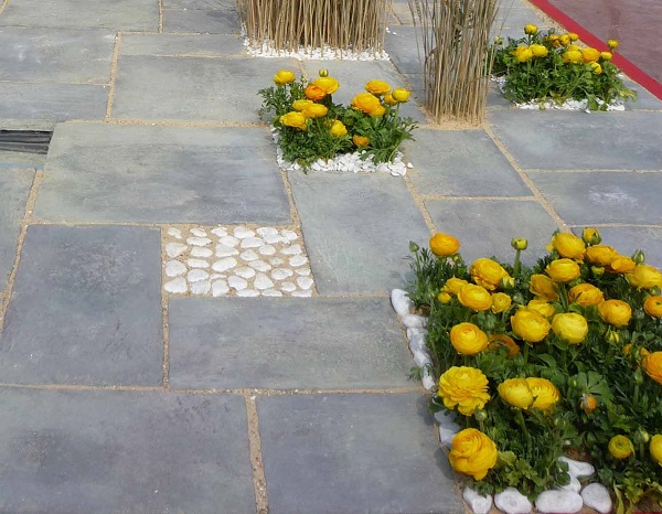 How to clean the joints in patio or pathway paving?