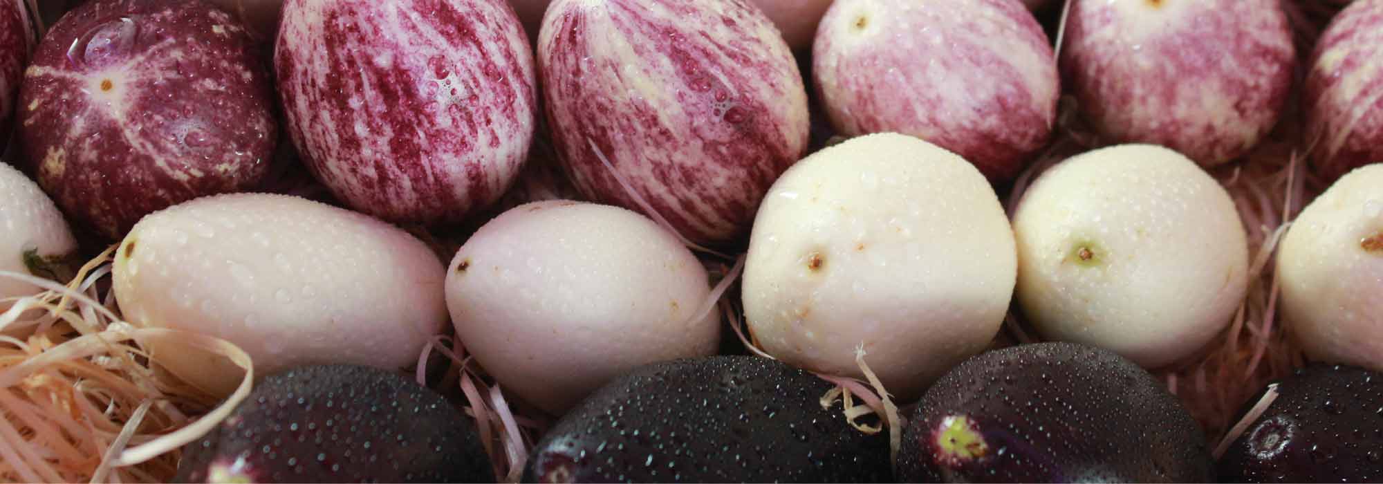 Choosing aubergines