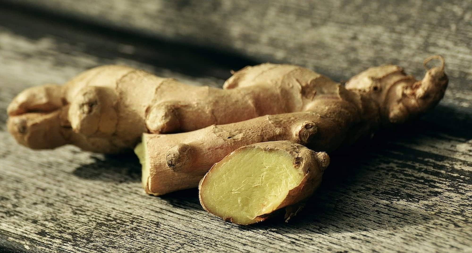 Ginger: how to grow, maintain, and harvest