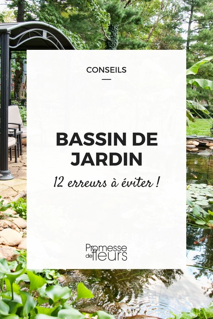 Mistakes to Avoid When Creating a Pond