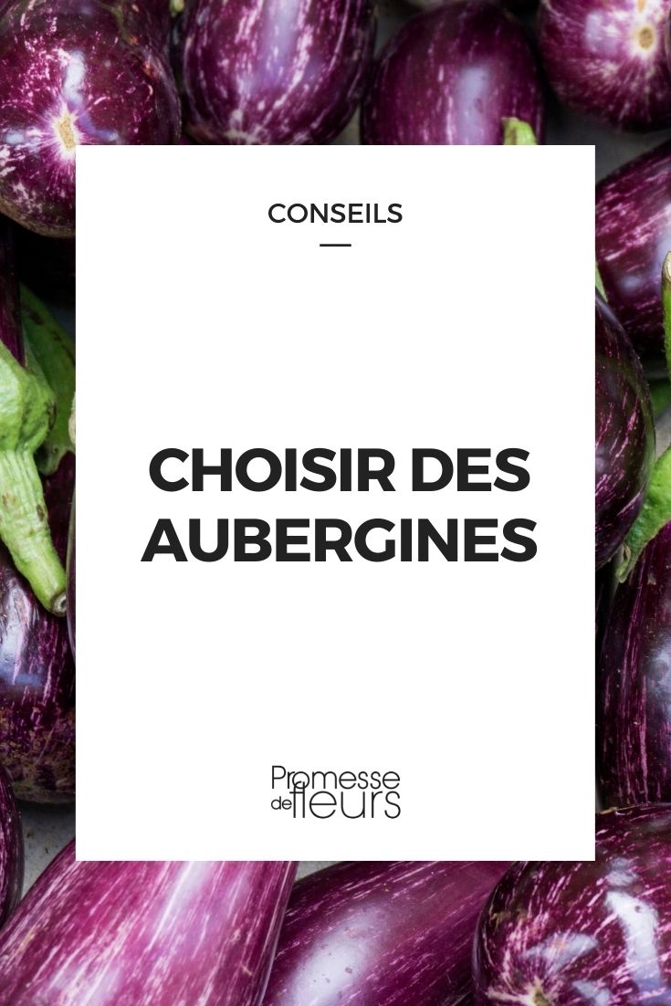 Choosing an Aubergine