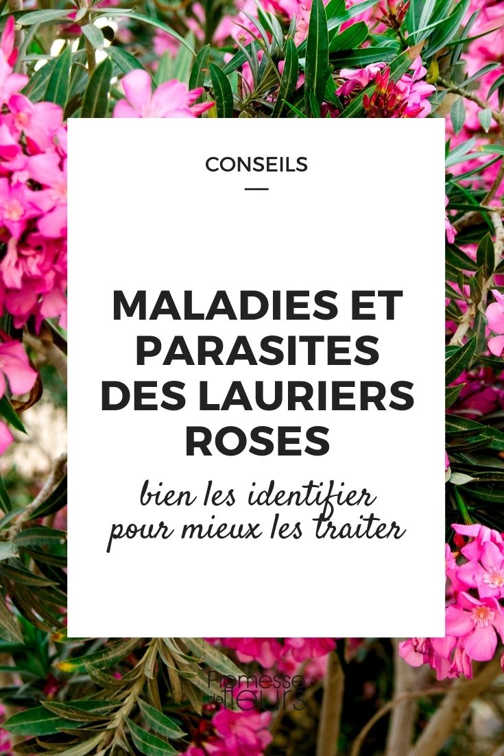 Parasitic Diseases of Nerium oleander