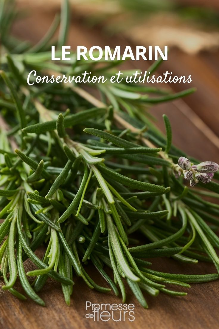 Preserving and Using Rosemary
Rosemary, with its delightful fragrance and flavour, is a favourite in many gardens and kitchens. This hardy herb, known botanically as Rosmarinus officinalis, not only thrives with minimal fuss but also offers numerous uses, from culinary delights to aromatic decorations.
**Growing Rosemary**
Rosemary is a resilient shrub that prefers well-drained soil and plenty of sunlight. In the UK and Ireland, it's advisable to plant rosemary in a spot that receives at least six to eight hours of direct sunlight daily. Although rosemary tolerates poor soil, adding a bit of compost or organic matter can encourage healthier growth.
**Harvesting Tips**
The best time to harvest rosemary is in the morning after the dew has dried but before the sun becomes too intense. This helps in preserving the essential oils, which are at their peak during this time. Use sharp scissors or garden shears to snip off the sprigs you need, cutting just above a leaf joint to encourage further branching and growth.
**Preservation Techniques**
1. **Drying**: Hang bunches of rosemary upside down in a dry, well-ventilated area away from direct sunlight. Once dried, strip the leaves from the stems and store them in an airtight container.
2. **Freezing**: Rosemary freezes well. You can freeze whole sprigs or chop the leaves and place them in ice cube trays covered with water or olive oil.
3. **Infusing**: Infuse olive oil or vinegar with rosemary for a flavourful addition to your cooking. Simply add a few sprigs to your oil or vinegar and let it sit for a few weeks in a cool, dark place.
**Culinary Uses**
Rosemary is incredibly versatile in the kitchen. It pairs wonderfully with meats like lamb and chicken, and it's excellent in breads, soups, and sauces. Its robust flavour also makes it a perfect match for roasted vegetables.
**Medicinal Benefits**
Traditionally, rosemary has been used for its medicinal properties, including improving memory, aiding digestion, and relieving muscle pain and spasms. It's also rich in antioxidants, which are beneficial for overall health.
Incorporating rosemary into your garden and kitchen not only adds a touch of flavourful greenery but also brings a host of benefits. Whether you're using it in your next culinary creation or simply enjoying its aromatic presence in your garden, rosemary is a delightful addition to both your home and health. dried rosemary
