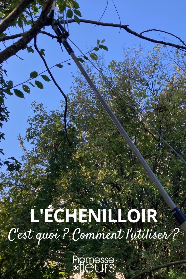 pole pruner pole pruner