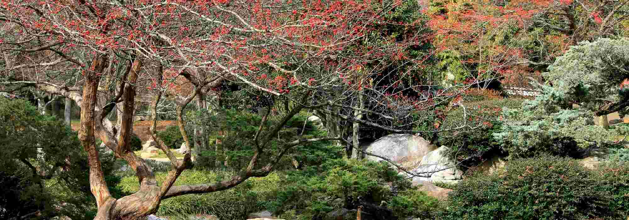 Designing a four-season garden