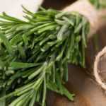 Rosemary: how to preserve and use it