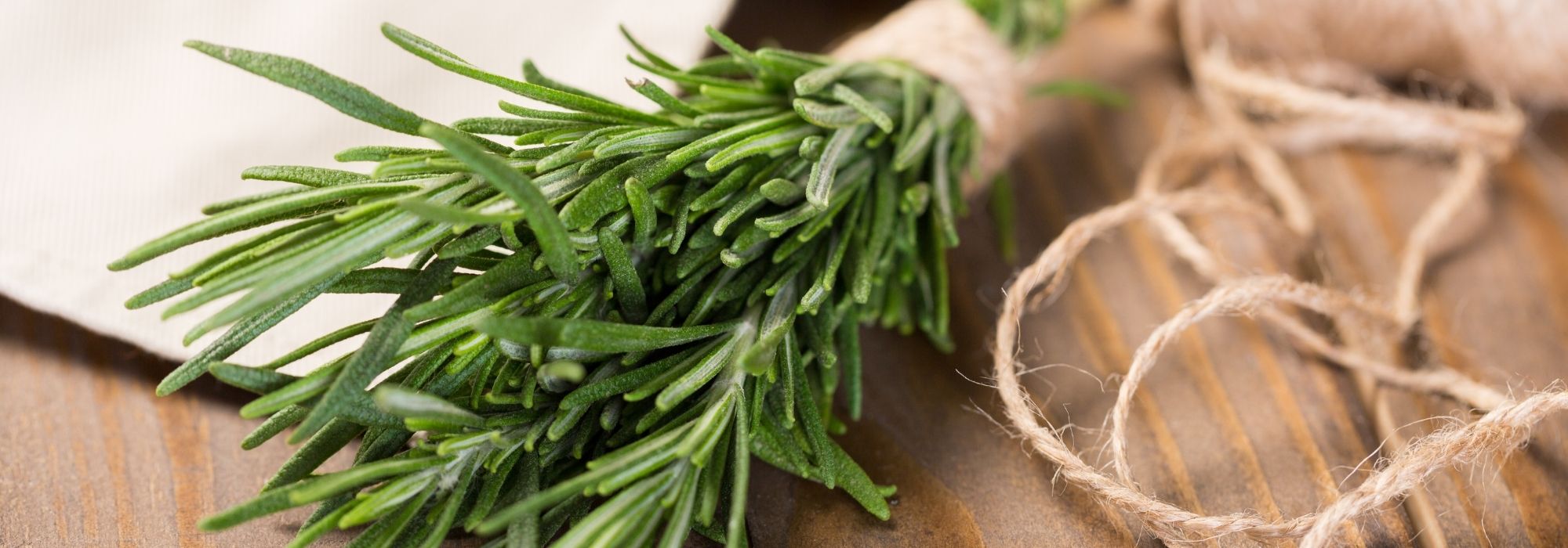 Rosemary: how to preserve and use it